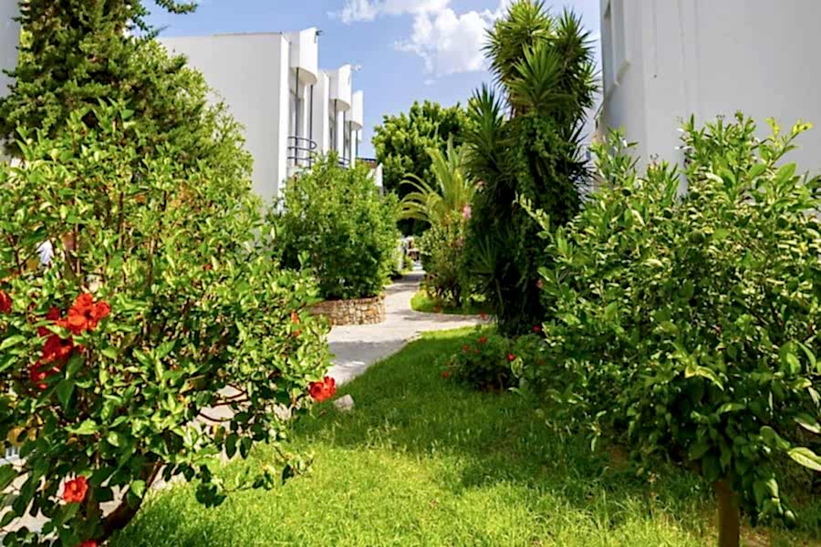 Leo  Beach Resort  +16 / 4 Gece 5 Gün
