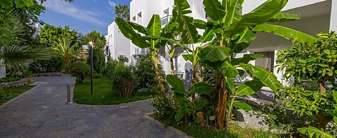 Leo  Beach Resort  +16 / 4 Gece 5 Gün