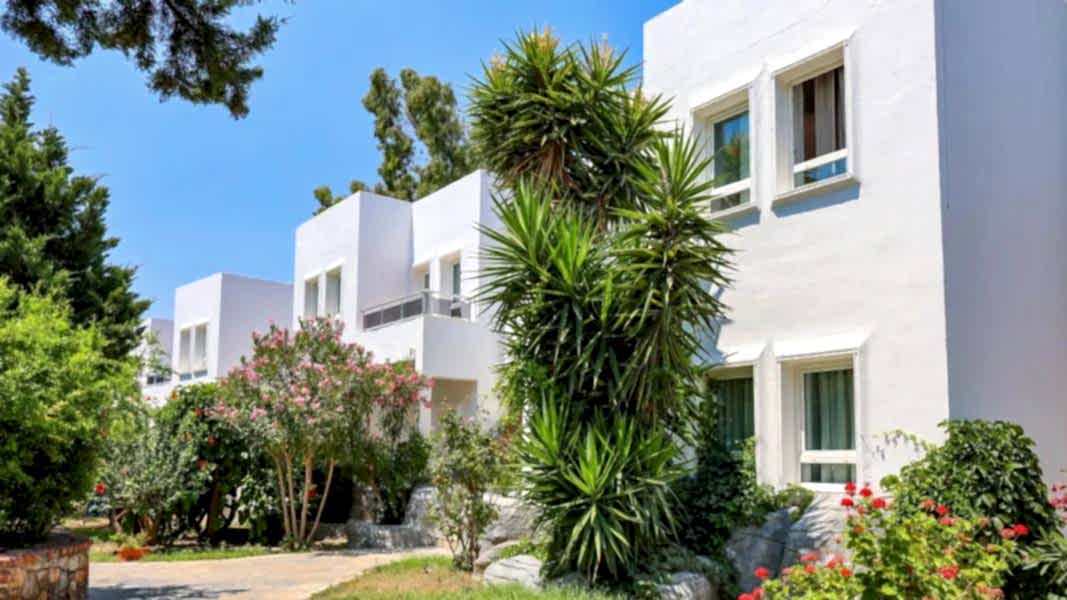 Leo  Beach Resort  +16 / 4 Gece 5 Gün