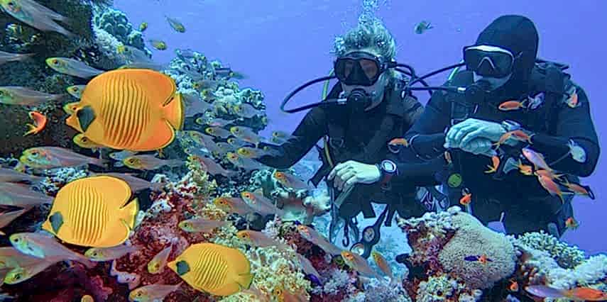 Vizesiz Sharm El Sheikh Turu | 5 Gece Her Şey Dahil Otel Konaklamalı | İstanbul Kalkışlı