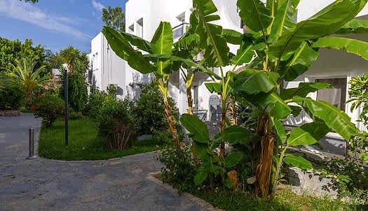 Leo Beach Gümbet Hotel 
